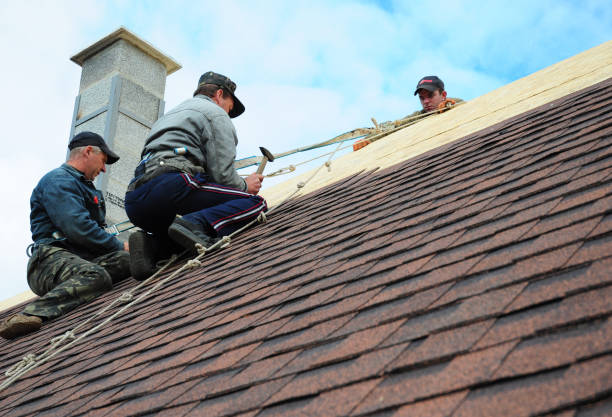 Best Roof Gutter Cleaning  in Hoisington, KS
